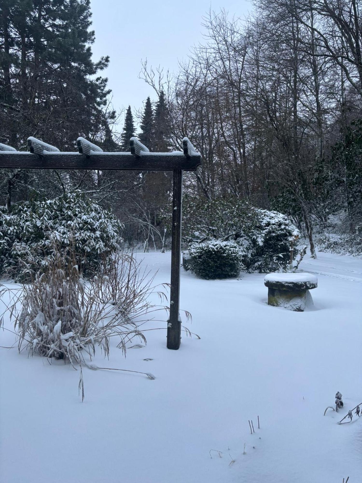 Ferienapartments Engeln Eifel Kempenich Eksteriør billede
